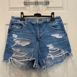 American Eagle Outfitters Denim ‘90s Boyfriend Short